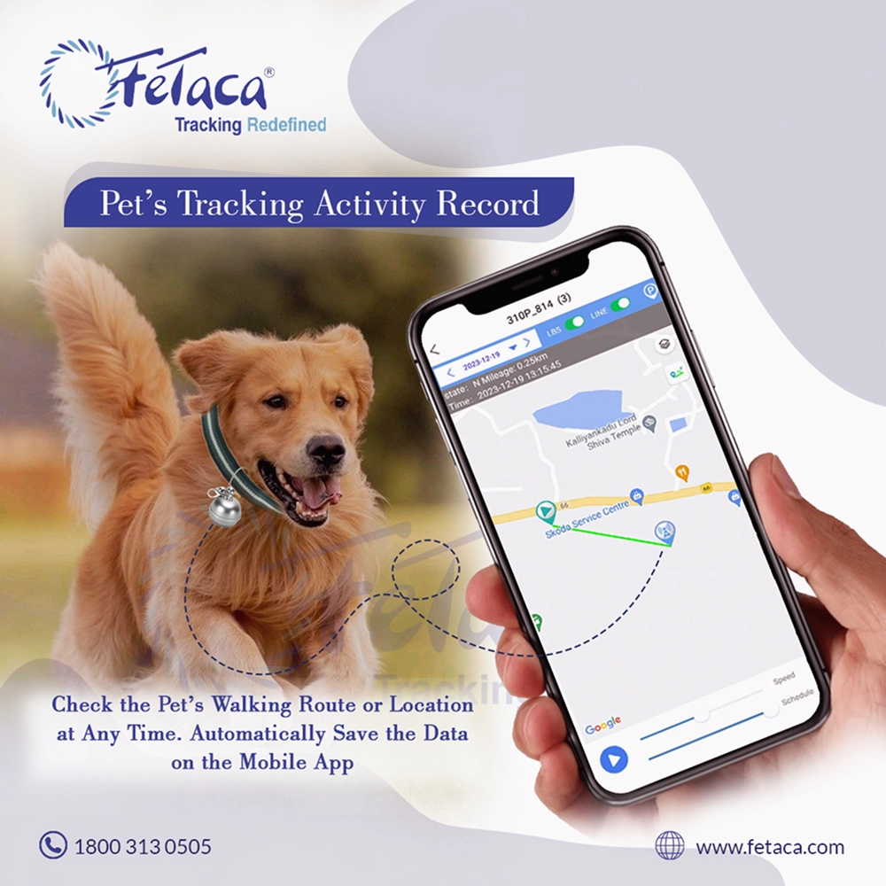 FeTaca Smart Silver Bell Shaped 2G Pet GPS Tracker with 1Year Advanced Tracking & SIM Data Subscription for Dogs and Cats (Silver)