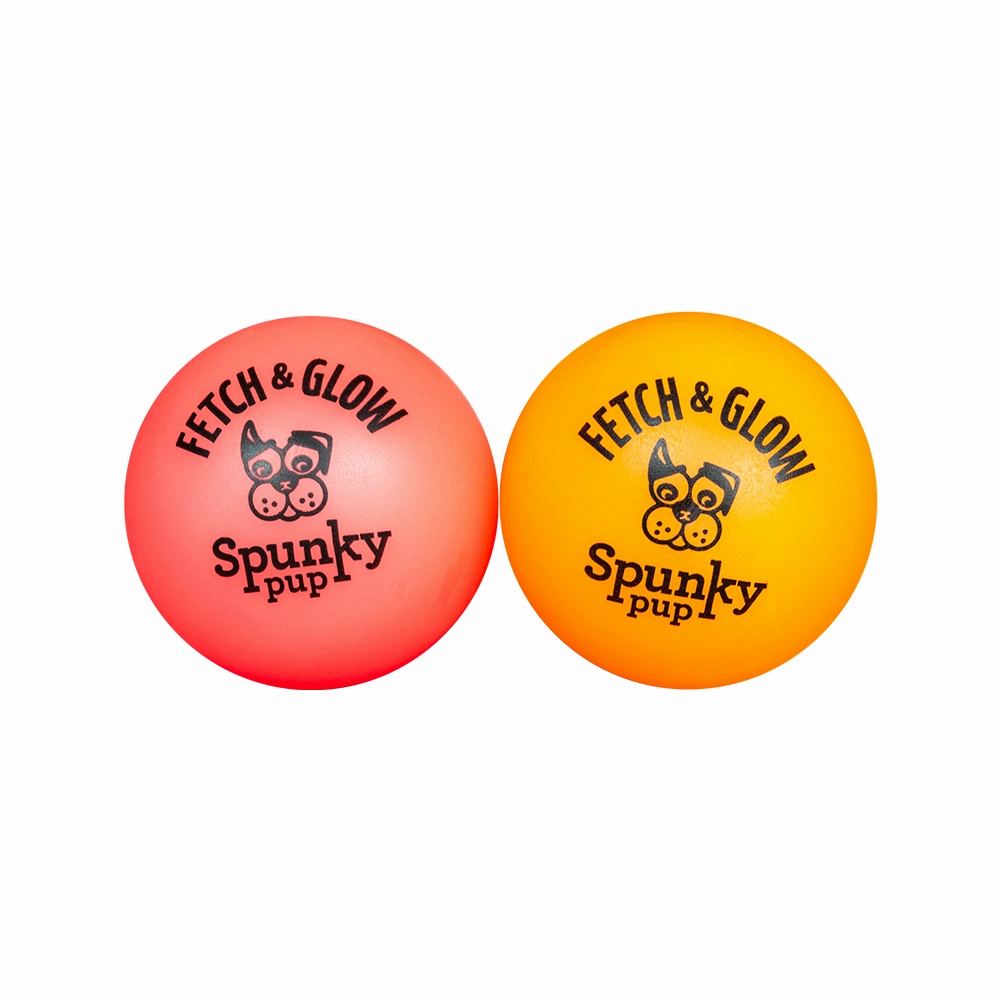 Fetch & Glow Balls Dog Toys