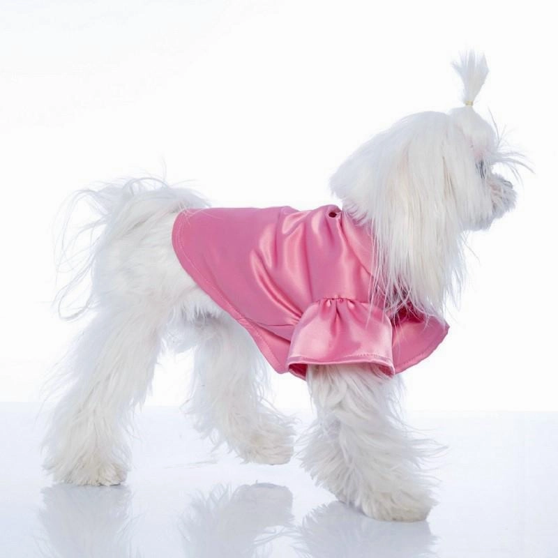 Flamenco Dog Shirt Rose