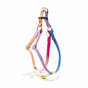 Flat Webbing Cotton Dog Harness Light Prismatic