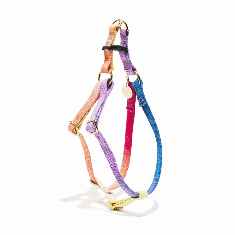 Flat Webbing Cotton Dog Harness Light Prismatic