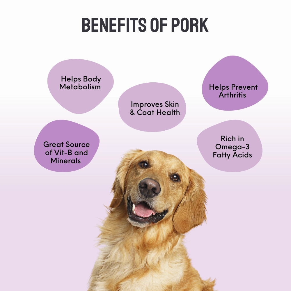 Floof & Co Pork Chew, Bacon Cheese and Chicken Cheese Dog Treats Combo