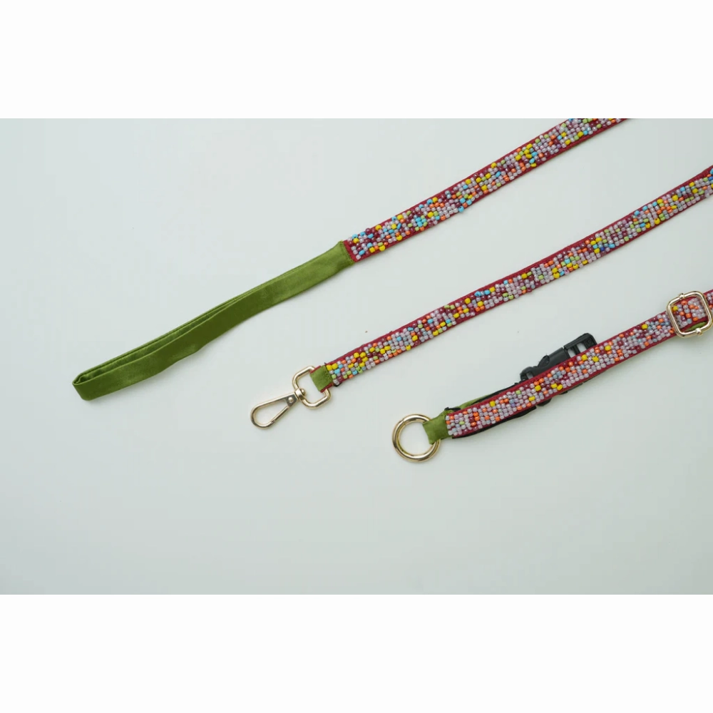 Floof & Co Sprinkles Leash & Collar (Green / Red)