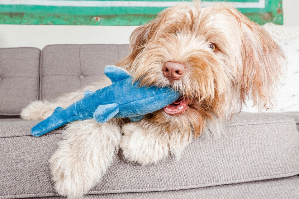 Fluff & Tuff Tank Shark Plush Dog Toy