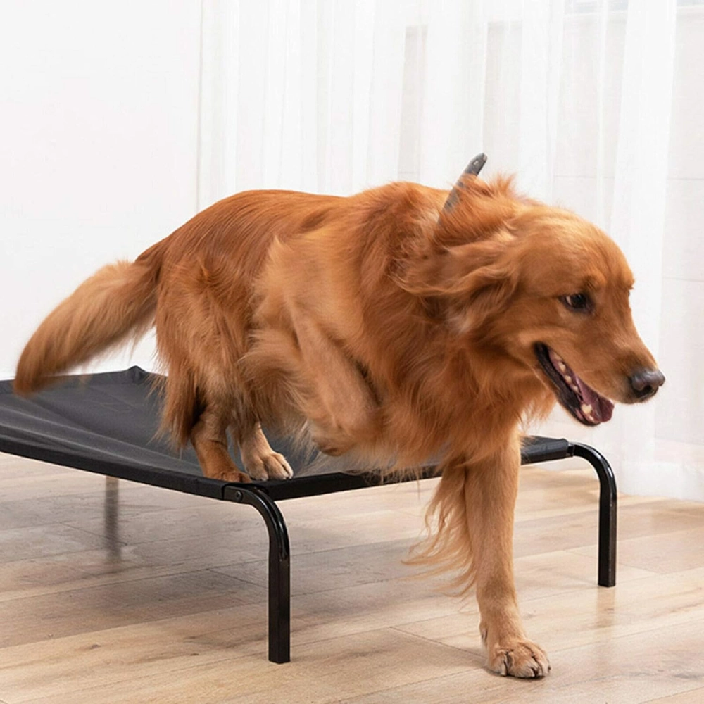 Fluffy's Pawsome Waterproof elevated Sides Camping Bed for Dogs (Black)
