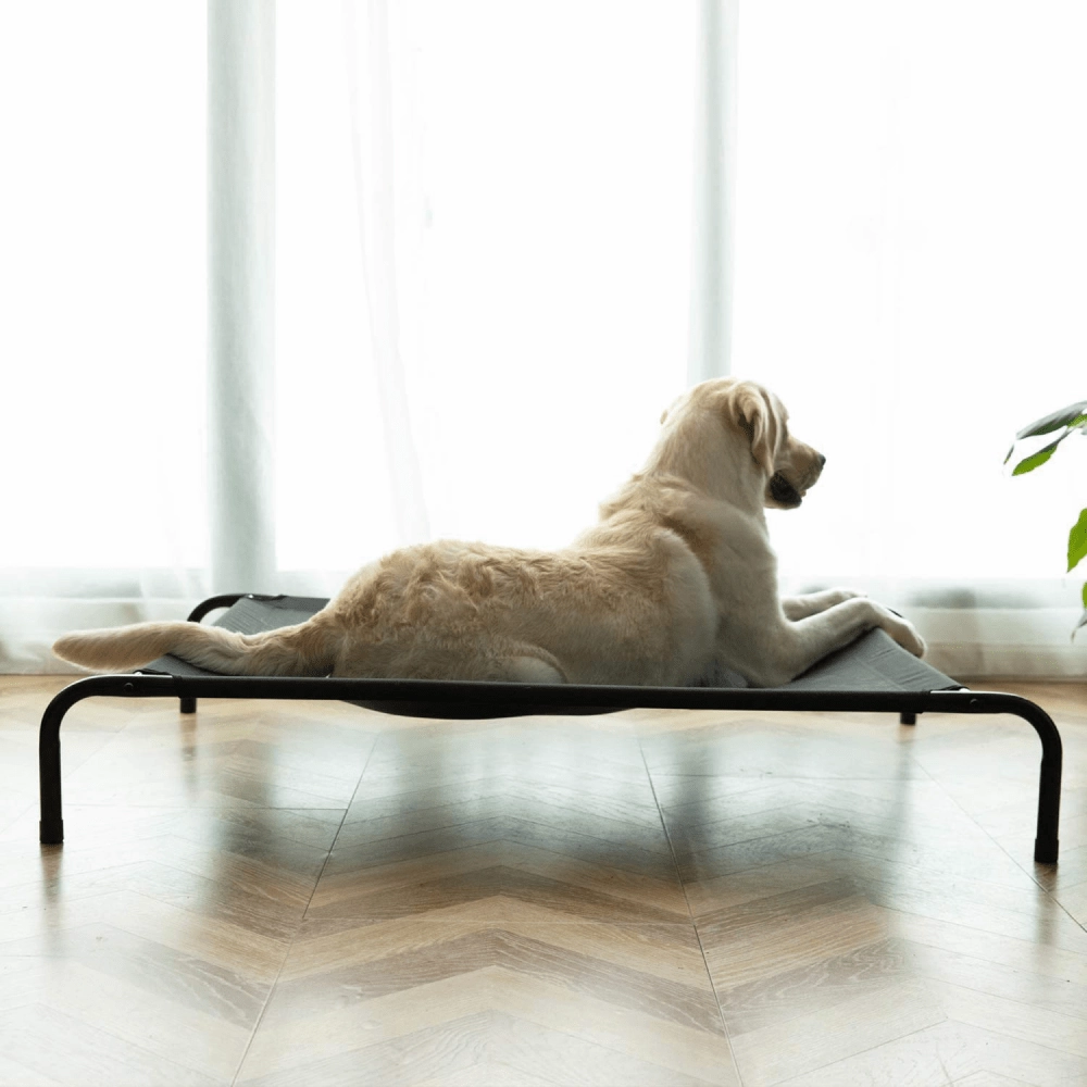 Fluffy's Pawsome Waterproof elevated Sides Camping Bed for Dogs (Grey)
