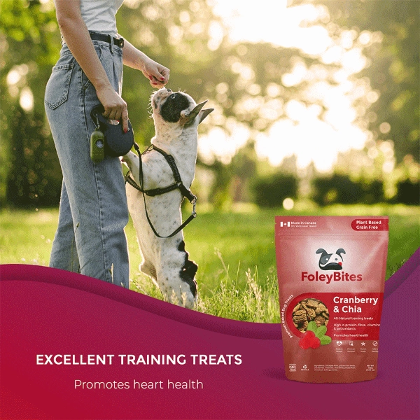 Foley Bites Cranberry & Chia Premium Baked Dog Treats