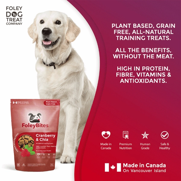 Foley Bites Cranberry & Chia Premium Baked Dog Treats