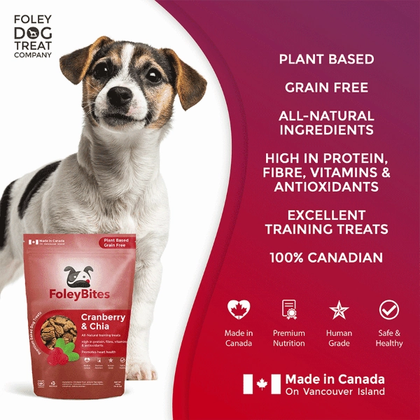 Foley Bites Cranberry & Chia Premium Baked Dog Treats