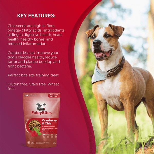 Foley Bites Cranberry & Chia Premium Baked Dog Treats