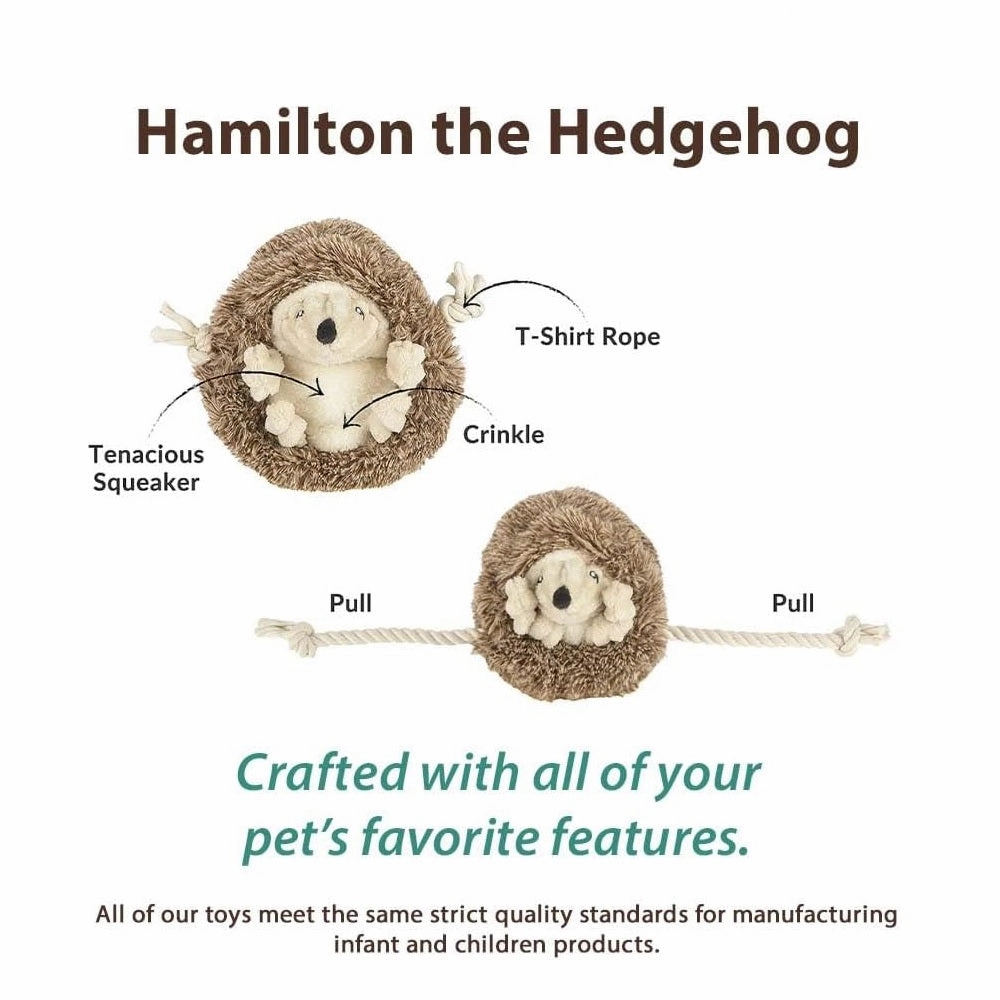 Forest Friends - Hedgehog Dog Plush Toy