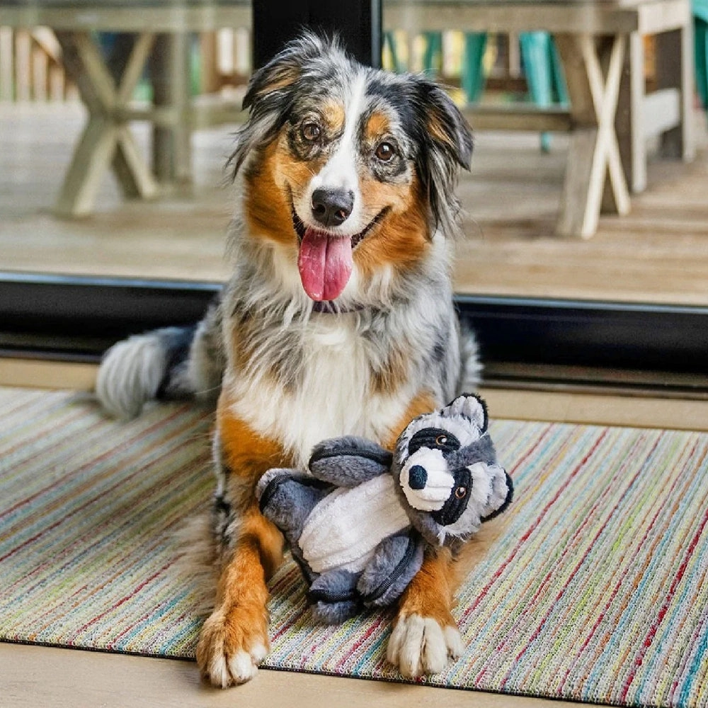 Forest Friends - Raccoon Dog Plush Toy