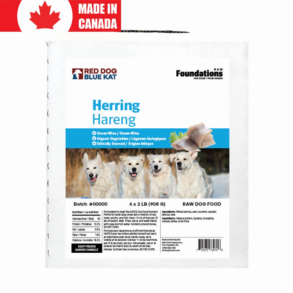 Foundations Dog Herring