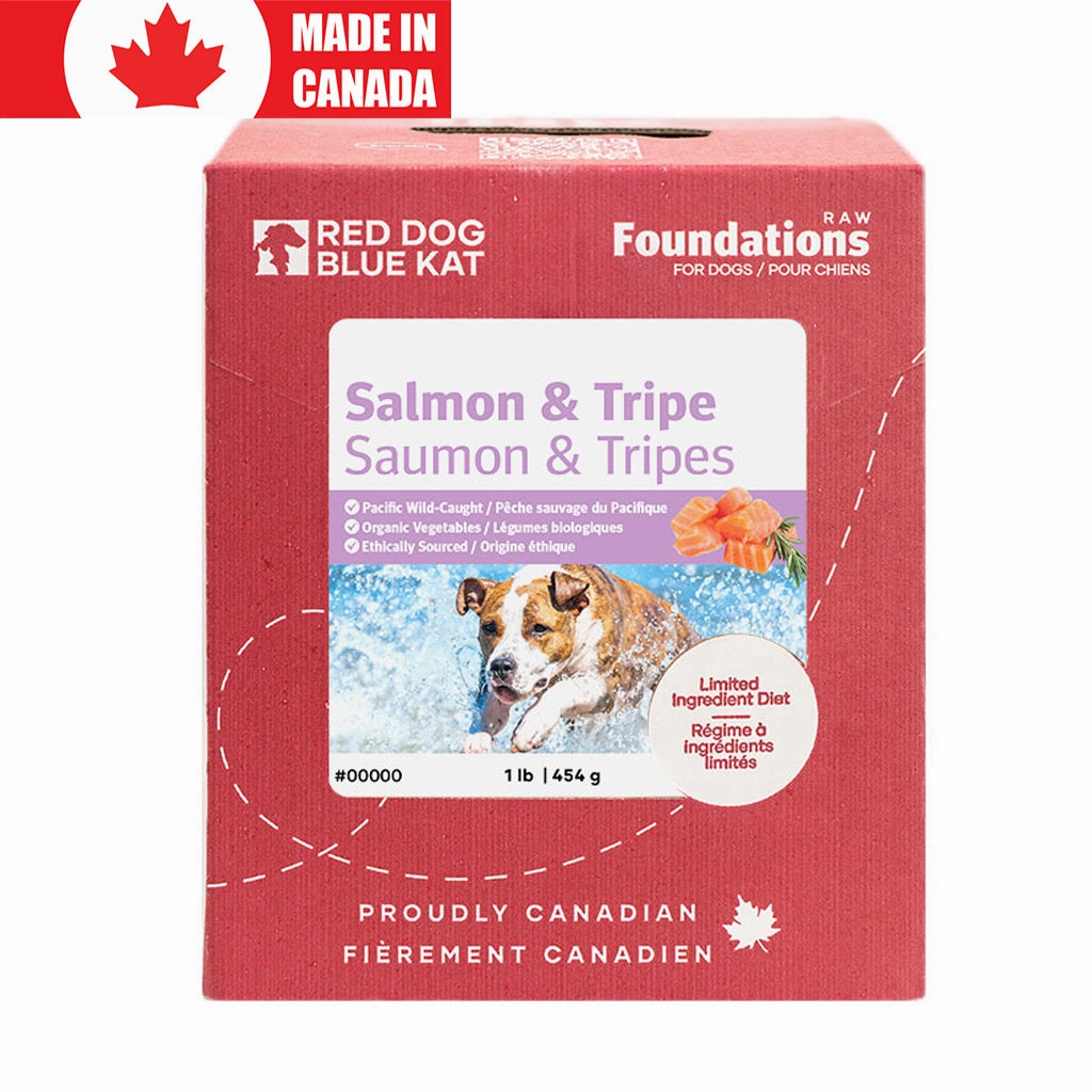 Foundations Dog Salmon & Tripe