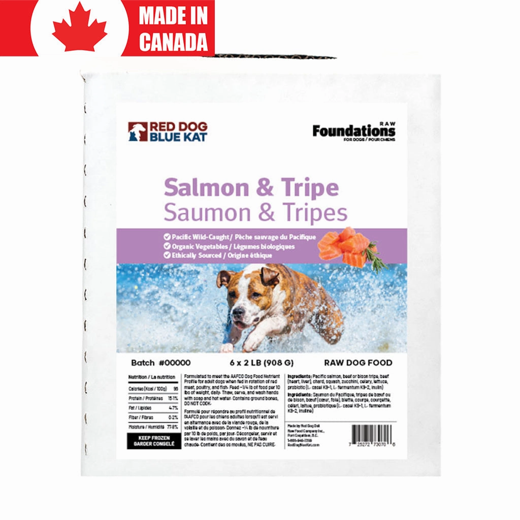 Foundations Dog Salmon & Tripe
