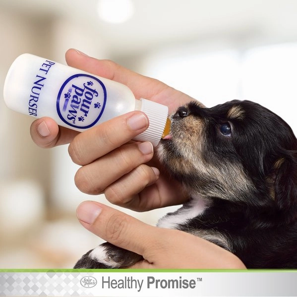 Four Paws Four Paws Pet Nurser Bottles for Dogs & Cats