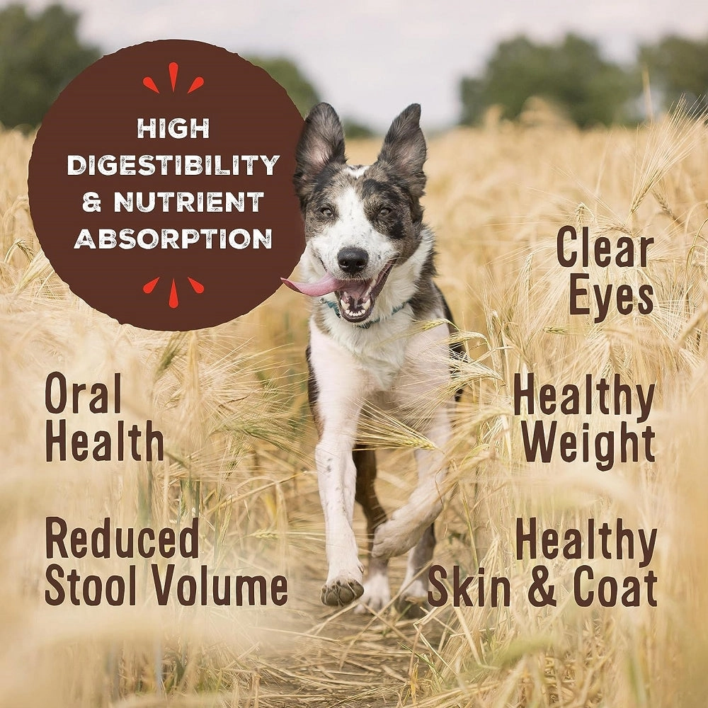 Freeze Dried Beef Nuggets Dog Food