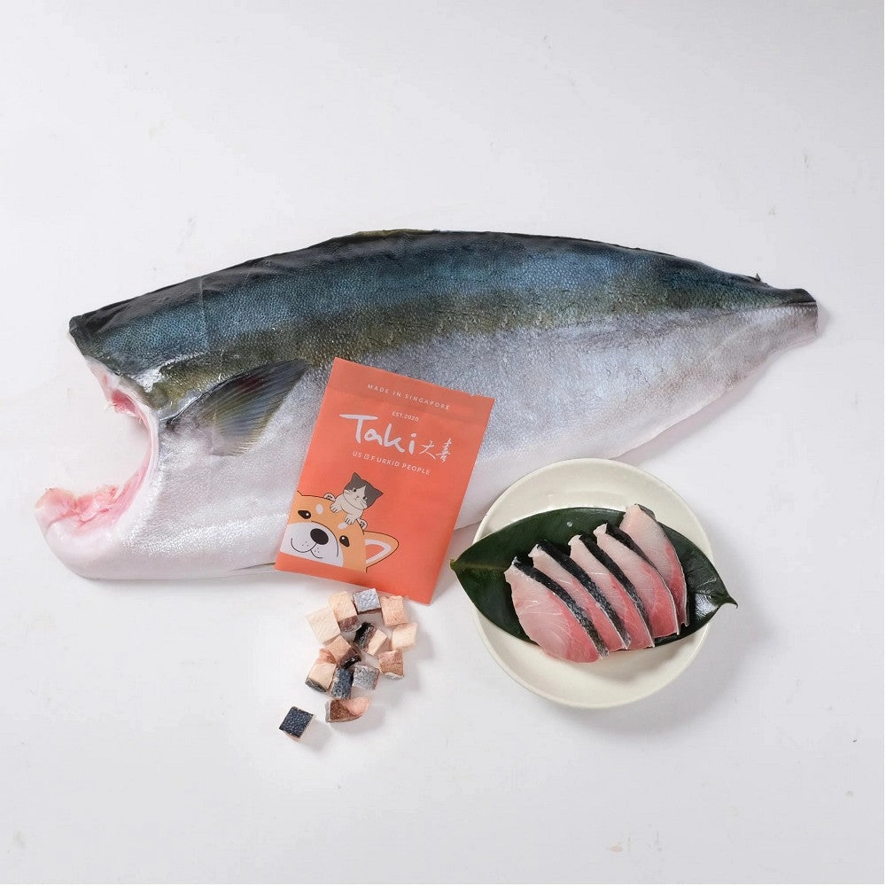 Freeze Dried Hamachi Treats for Dogs and Cats