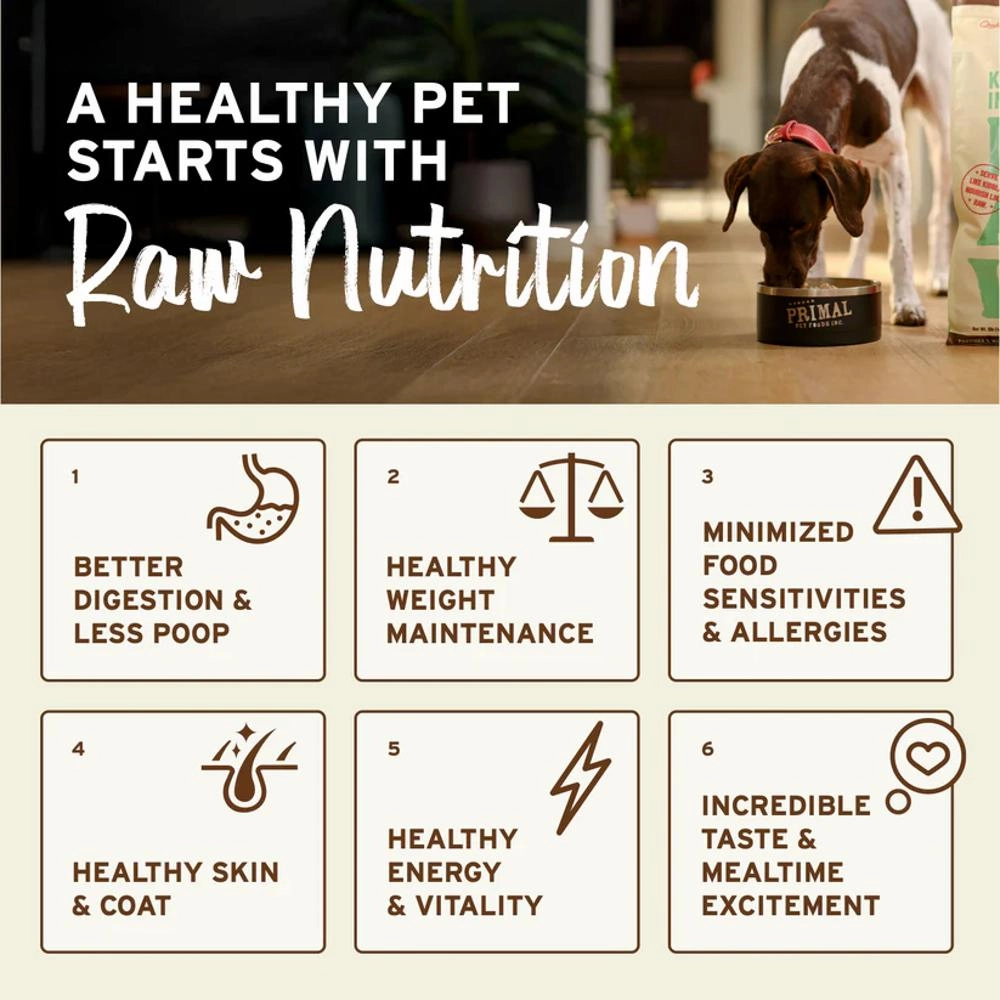 Freeze Dried Lamb Nuggets Dog Food
