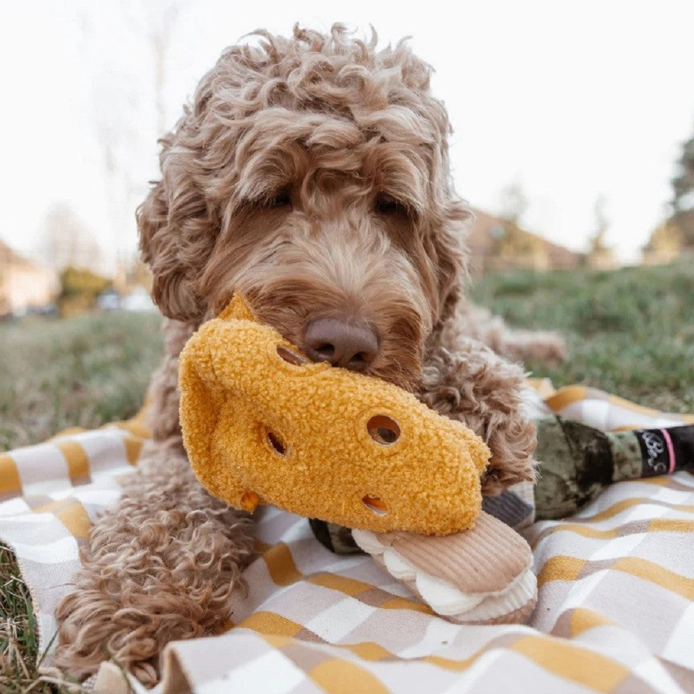 Fromage Nosework & Crinkly Dog Toy