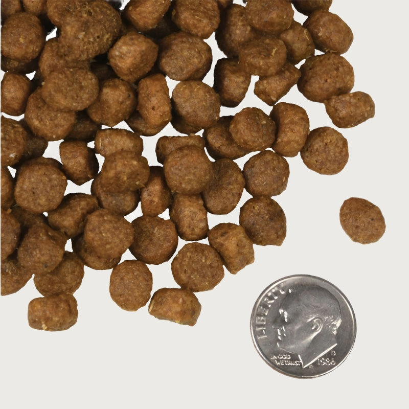 FROMM Four-Star Nutritionals Salmon  La Veg Recipe for Dogs