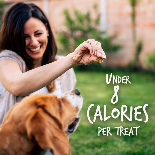 Fruitables Baked Pumpkin & Apple Dog Treats