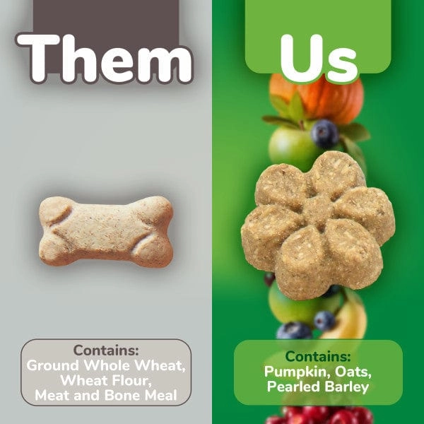 Fruitables Baked Pumpkin & Apple Dog Treats