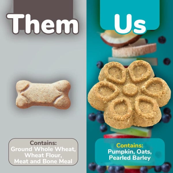 Fruitables Biggies Almond Butter & Coconut Dog Treats