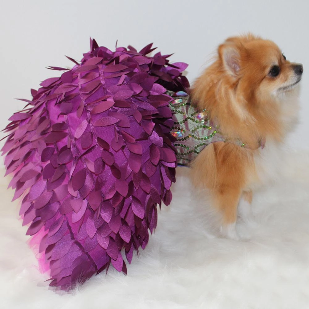 Fuchsia Peacock Glamour Dog Dress