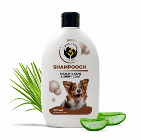 FurBall Story Shampooch Healthy Skin & Shiny Coat Shampoo for Dogs