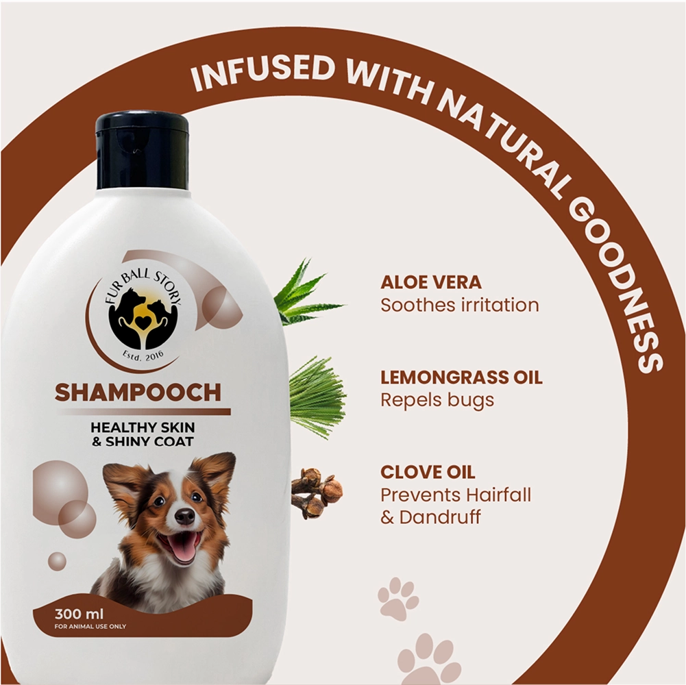FurBall Story Shampooch Healthy Skin & Shiny Coat Shampoo for Dogs