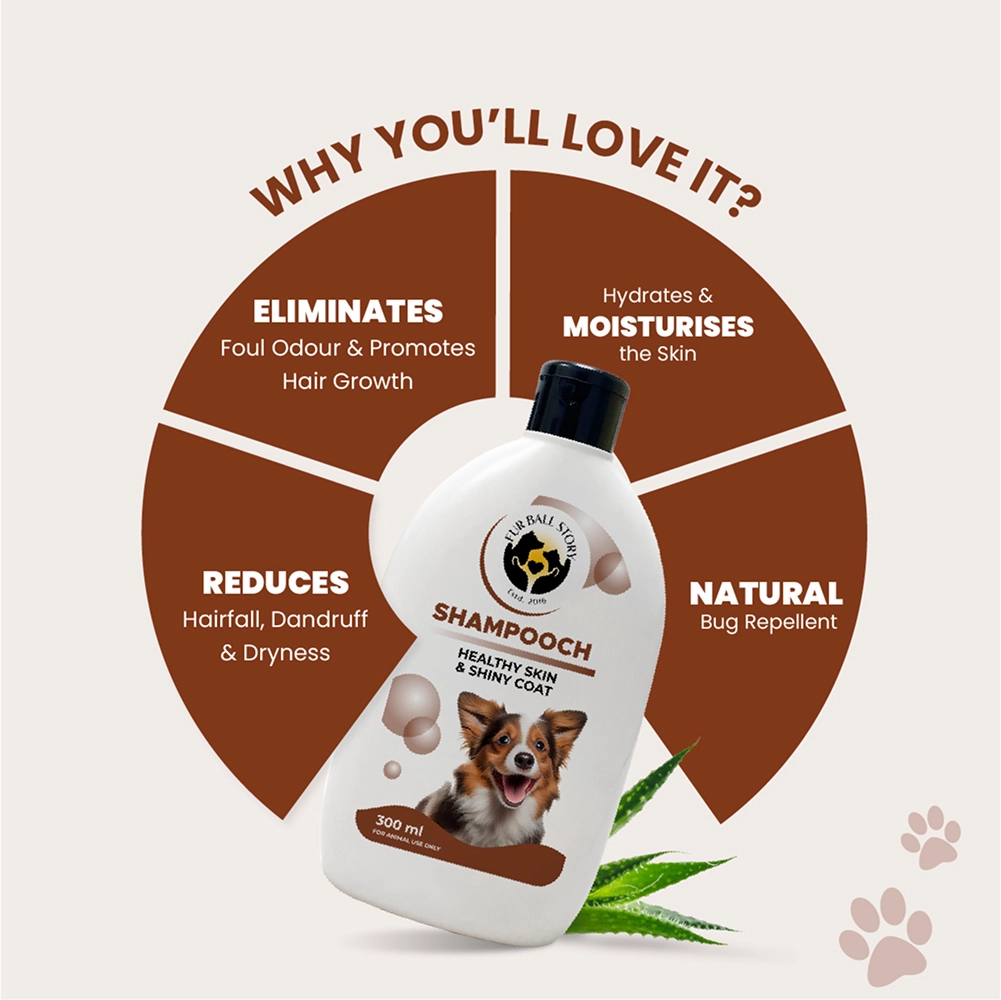FurBall Story Shampooch Healthy Skin & Shiny Coat Shampoo for Dogs