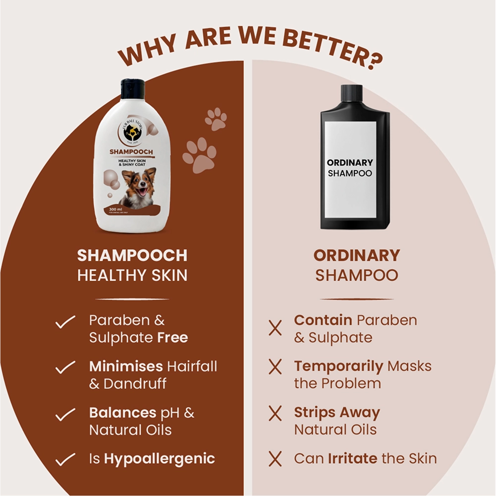 FurBall Story Shampooch Healthy Skin & Shiny Coat Shampoo for Dogs