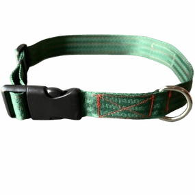 FurBuddies Myrtle Nylon Collar for Dogs (Green)