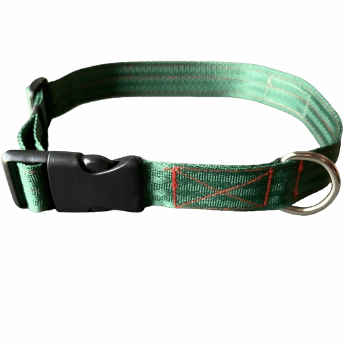 FurBuddies Myrtle Nylon Collar for Dogs (Green)