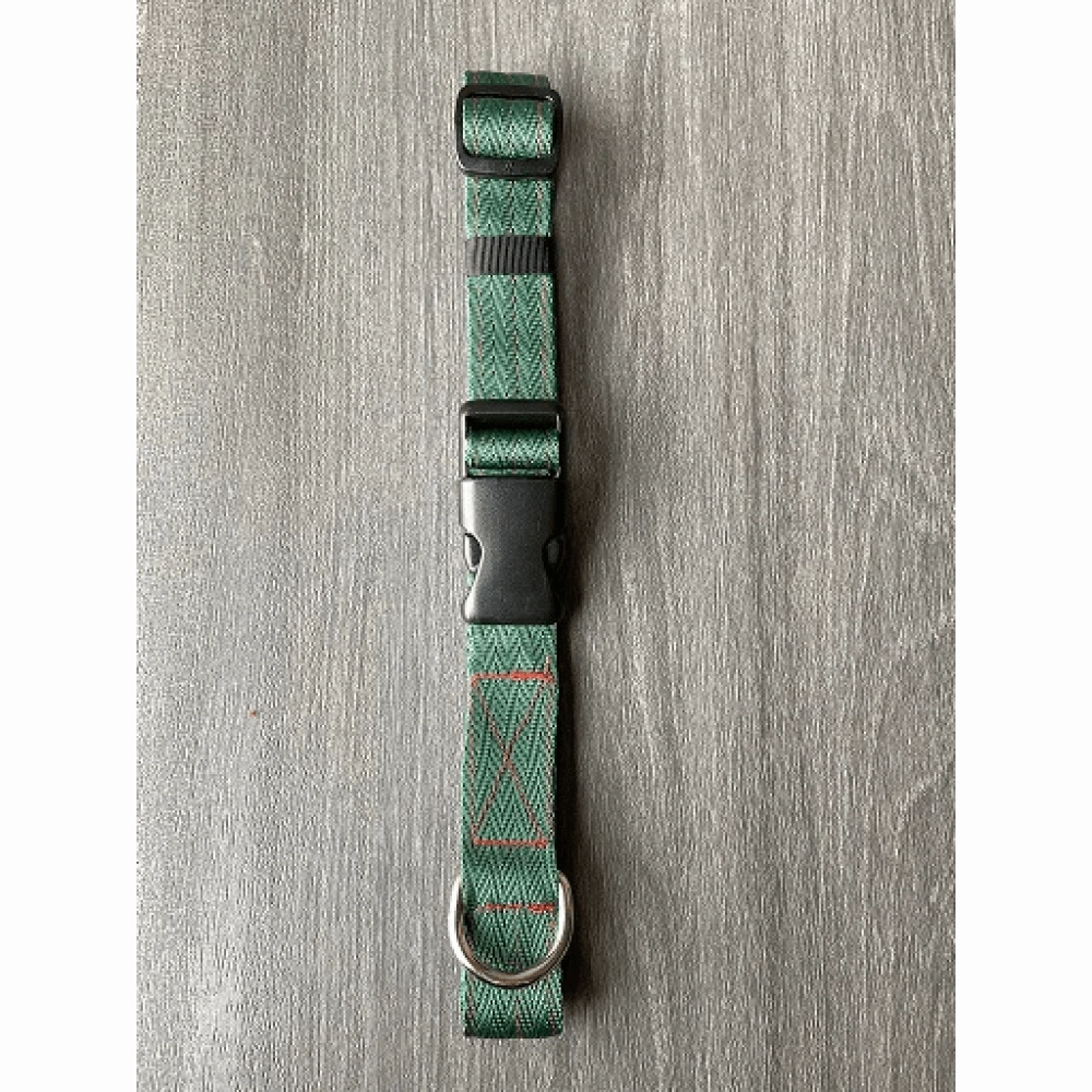 FurBuddies Myrtle Nylon Collar for Dogs (Green)