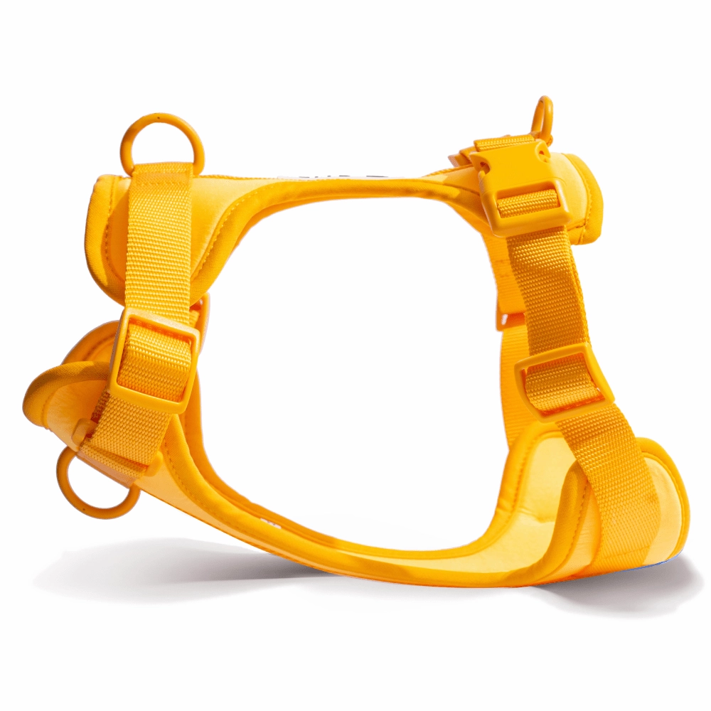 Furry & Co Bold Harness and Leash for Dogs Combo (Mango) - M