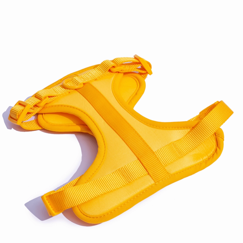 Furry & Co Bold Harness and Leash for Dogs Combo (Mango) - M