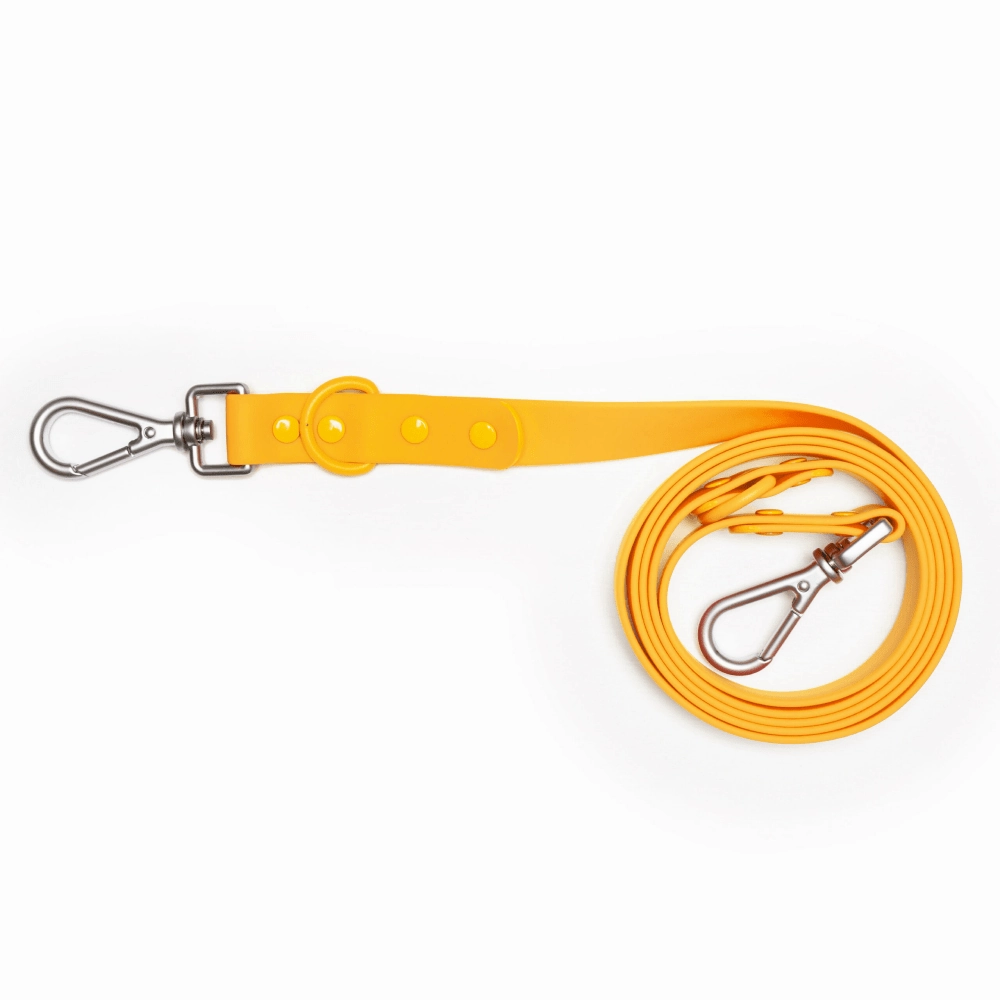 Furry & Co Bold Harness and Leash for Dogs Combo (Mango) - M
