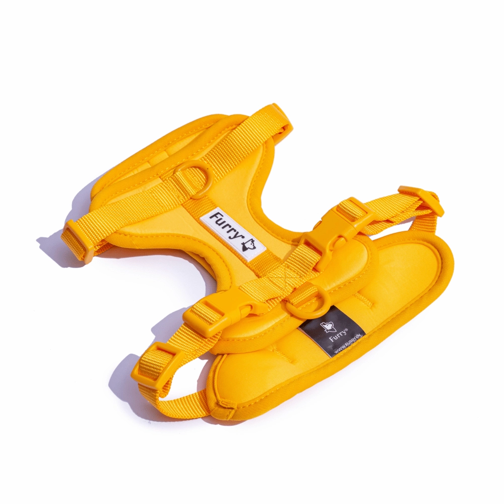 Furry & Co Bold Harness and Leash for Dogs Combo (Mango) - M