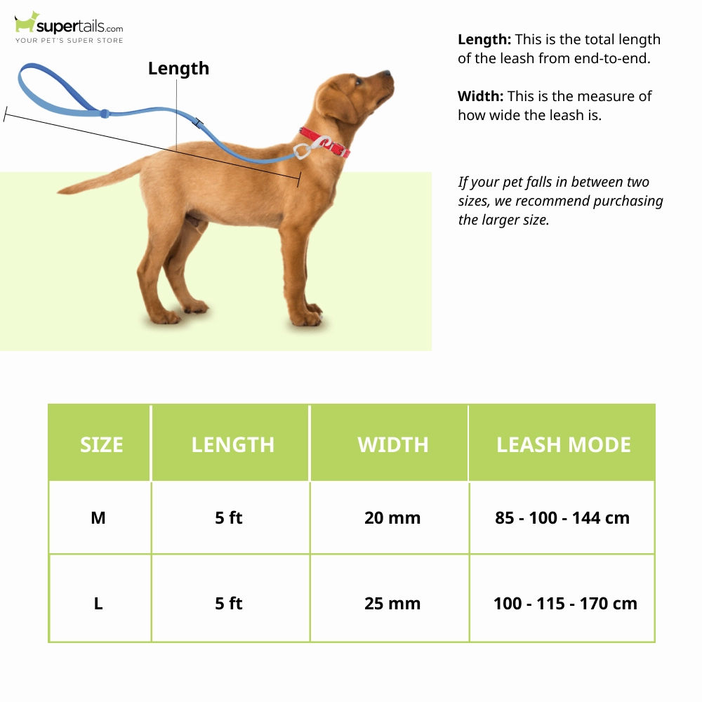 Furry & Co Bold Harness and Leash for Dogs Combo (Mango) - M