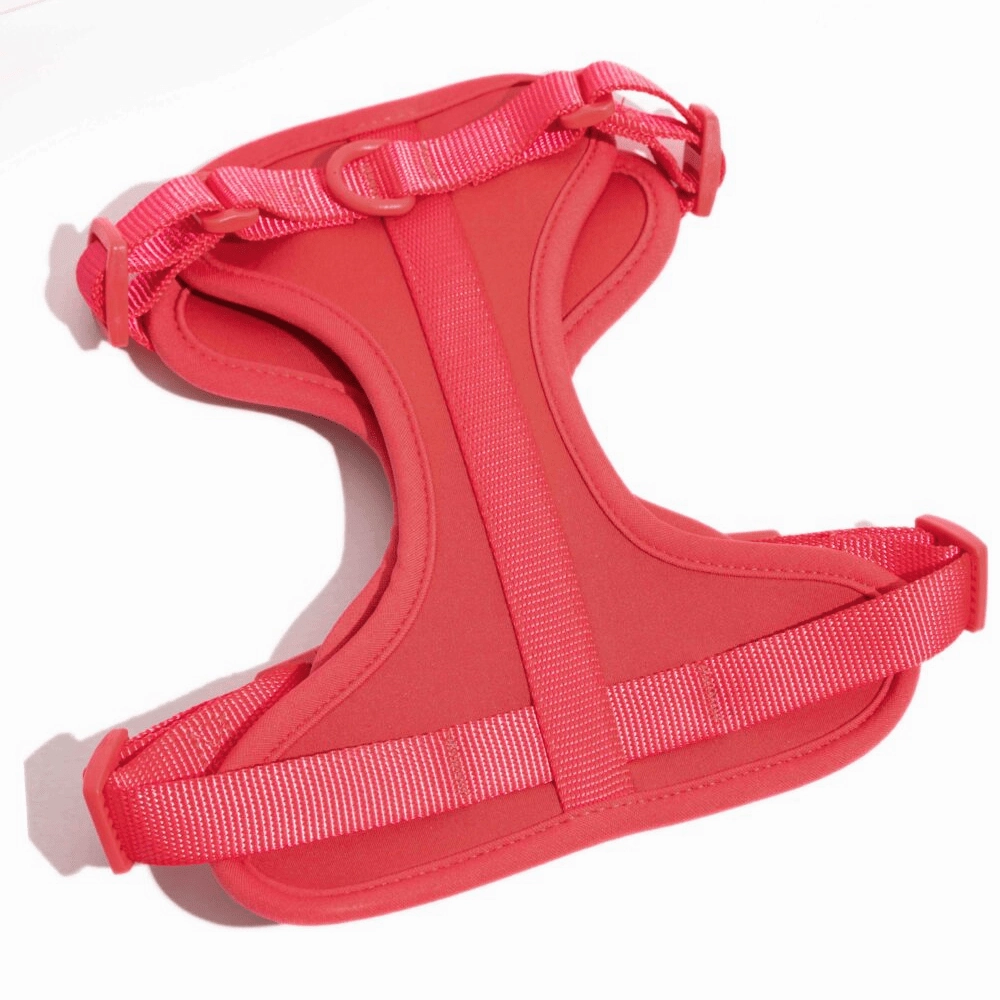 Furry & Co Bold Harness, Collar and Leash for Dogs Combo (Coral Red)