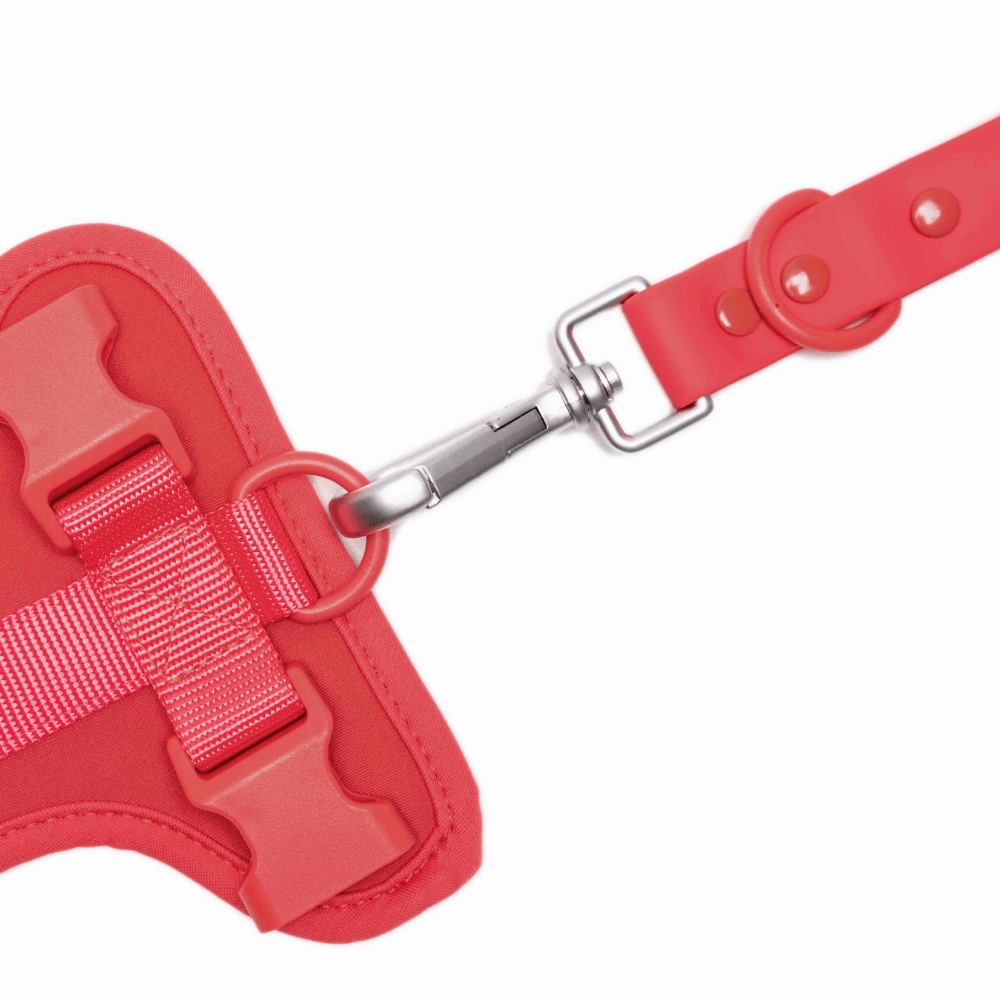 Furry & Co Bold Harness, Collar and Leash for Dogs Combo (Coral Red)