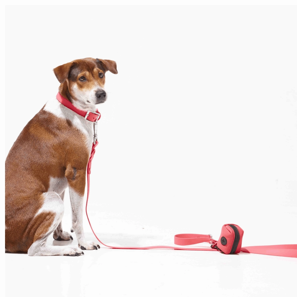 Furry & Co Bold Harness, Collar and Leash for Dogs Combo (Coral Red)
