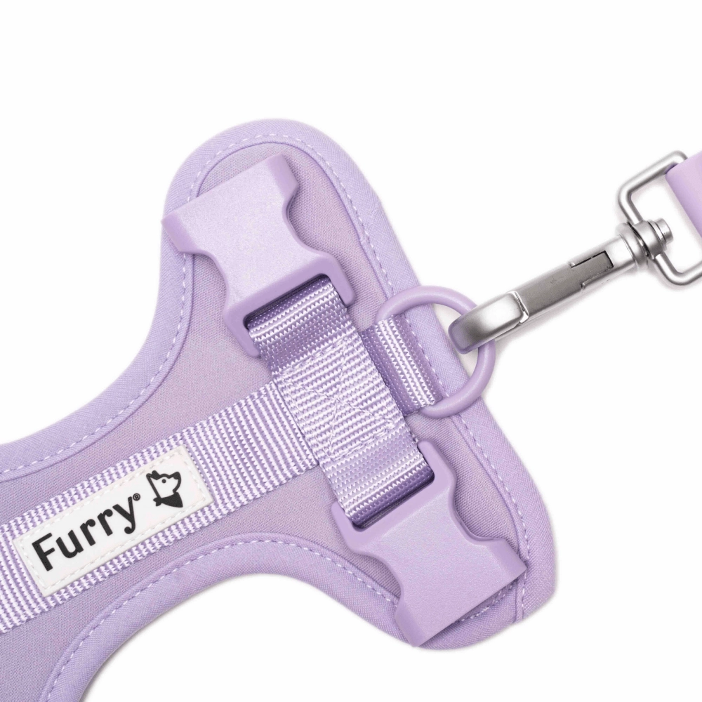 Furry & Co Bold Harness, Collar and Leash for Dogs Combo (Lilac)