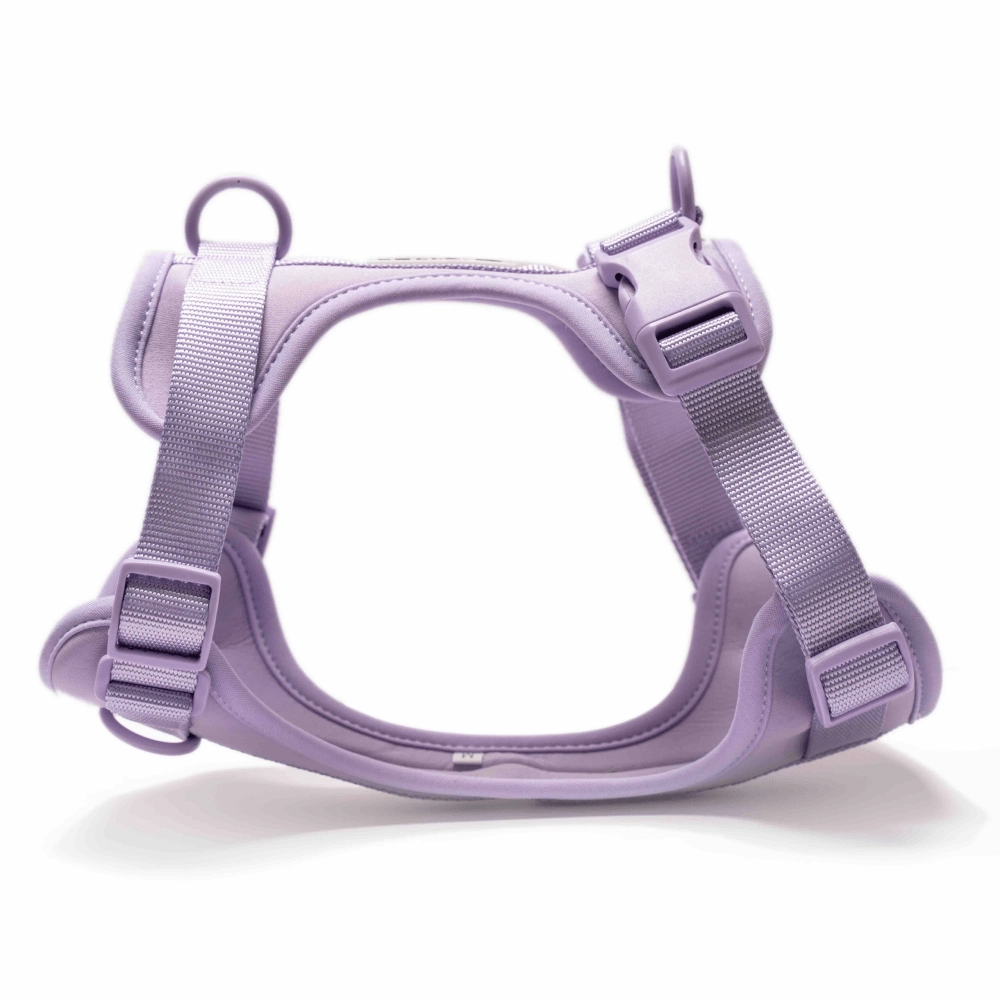 Furry & Co Bold Harness, Collar and Leash for Dogs Combo (Lilac)