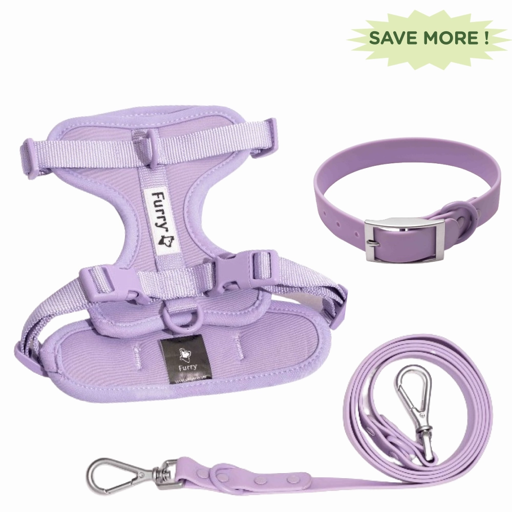 Furry & Co Bold Harness, Collar and Leash for Dogs Combo (Lilac)