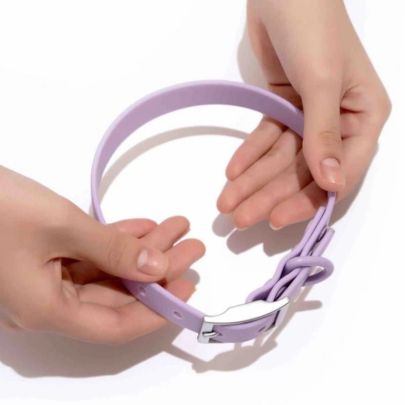 Furry & Co Bold Harness, Collar and Leash for Dogs Combo (Lilac)