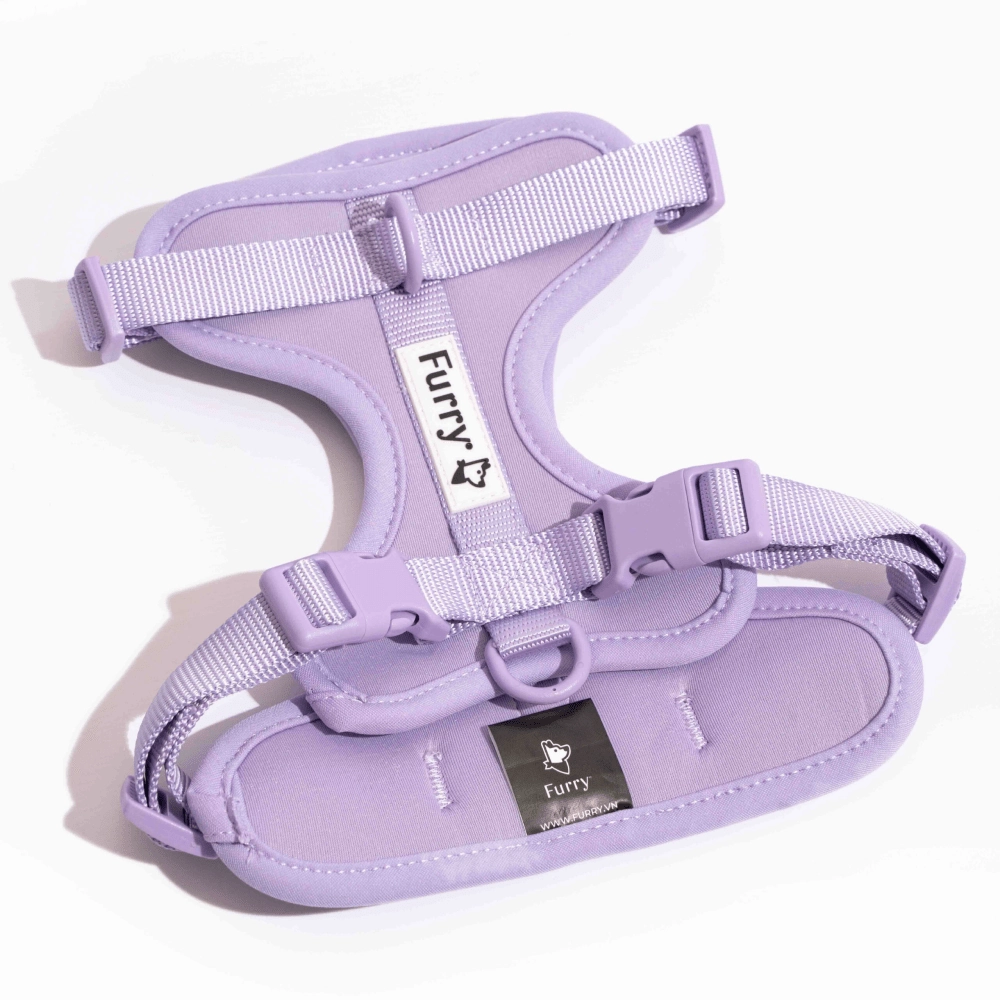 Furry & Co Bold Harness, Collar and Leash for Dogs Combo (Lilac)
