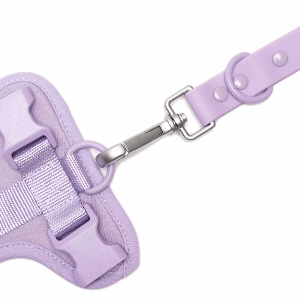 Furry & Co Bold Harness, Collar and Leash for Dogs Combo (Lilac)